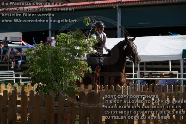 s_K3F07047.JPG